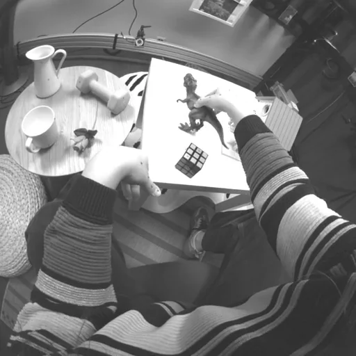 Human demonstration: grasping a toy dinosaur